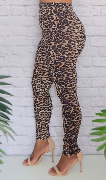 Women's Soft Leopard Leggings Sizes 0-12